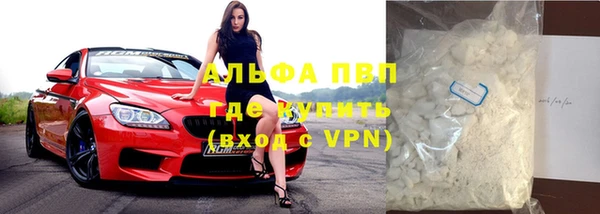 трава Белокуриха