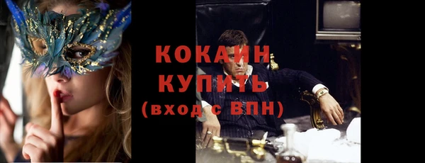 трава Белокуриха