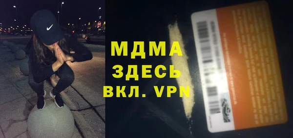 трава Белокуриха
