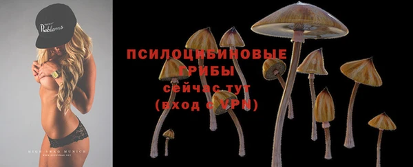 МДПВ Беломорск