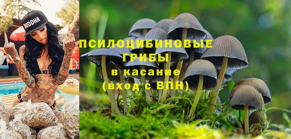 герыч Анжеро-Судженск