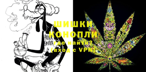 трава Белокуриха