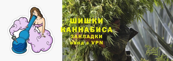 трава Белокуриха
